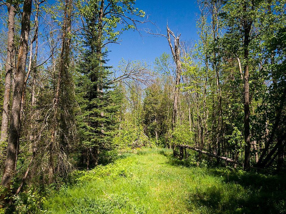 Coontail Dr NE, Outing, MN 56662 Zillow