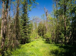 Coontail Dr NE, Outing, MN 56662