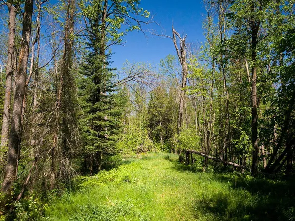Coontail Dr NE, Outing, MN 56662