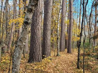 24th Ave SW, Backus, MN 56435