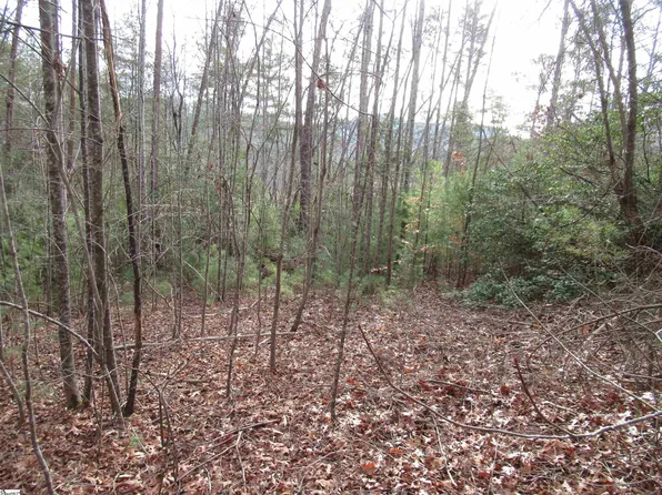 116 Fireside Ln, Pickens, SC 29671