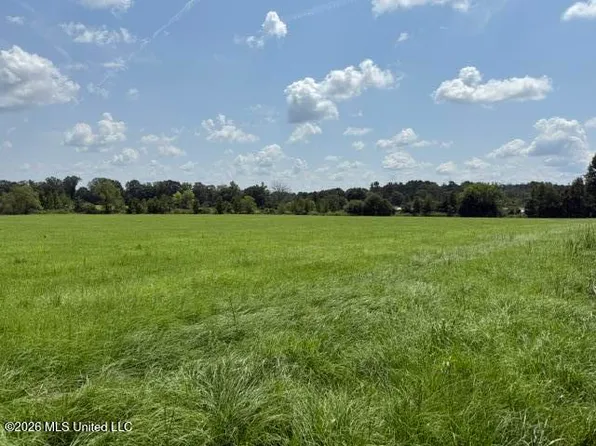 0 Brewer Rd, Forest, MS 39074