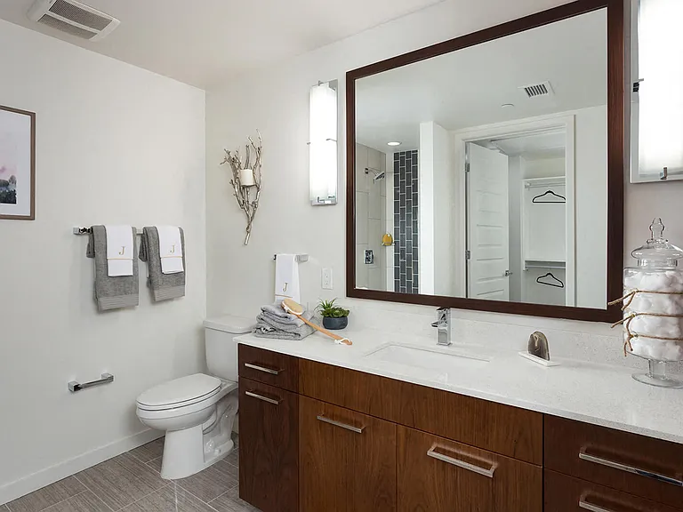 Spa-inspired bathrooms