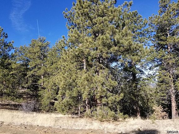 5th image of 549 Staghorn Ln
