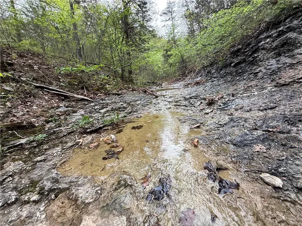 3 Cardinal Ridge Rd Tract 3, Eureka Springs, AR 72632