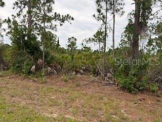 2nd image of 12141 MC ELROY AVENUE LOT 25