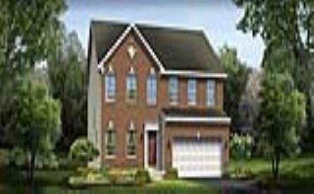 ElevationImage