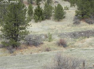 521 Monarch Dr, Cripple Creek, CO 80813
