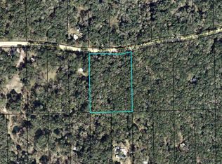593 NE 385th Ave, Old Town, FL 32680