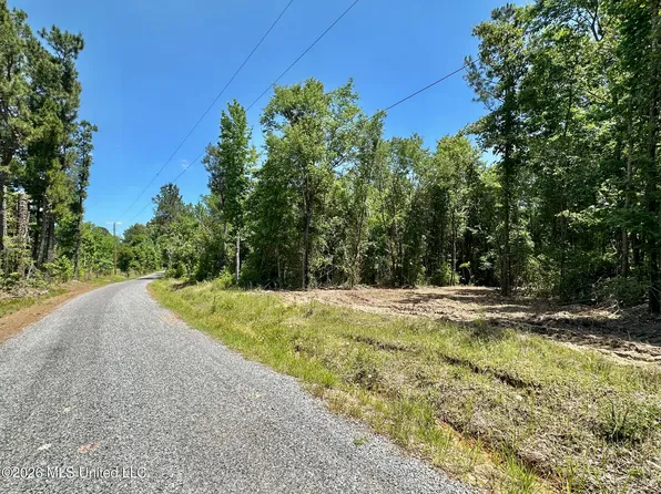 1 McNair Springs Rd, Magee, MS 39111