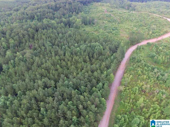 County Road 99, Wedowee, AL 36278