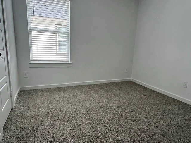 1006 Perezia Ct — Photo 18
