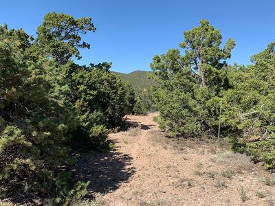 63 Pinon Heights Rd, Sandia Park, NM, 87047