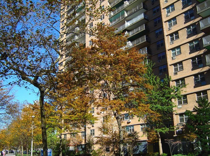 1st image of 440 Neptune Ave APT 15B