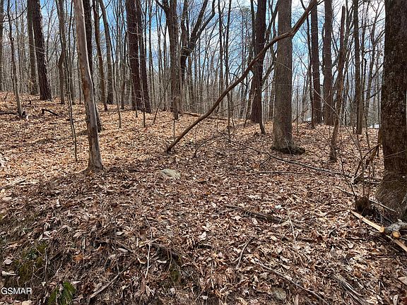 3rd image of LOT 12 Swann Saddle Rd