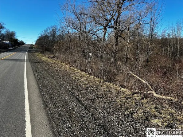 0 Maring Rd, Dewittville, NY 14728