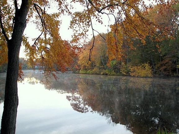 view from porch