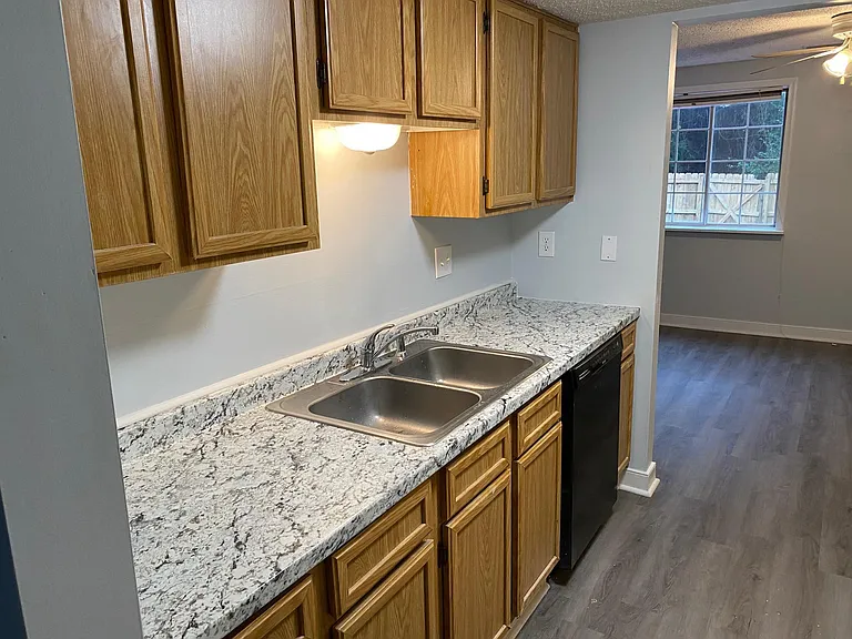 9732 Springfield Woods Cir — Photo 11
