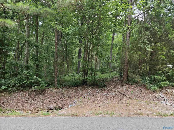 2505 Bluff City Rd, Somerville, AL 35670