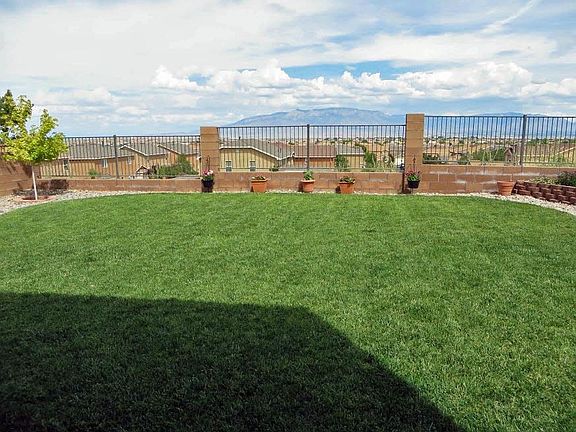 VIEW FROM THE PATIO