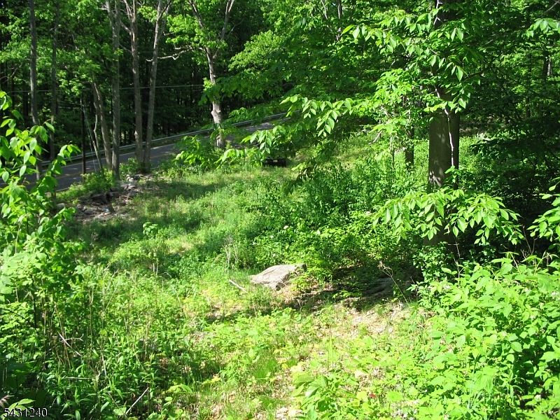 1st image of 67 Pidgeon Hill