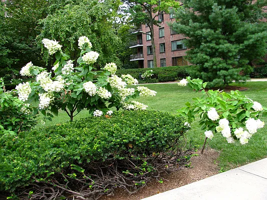 Rented by Lola Pazos Real Estate | media 2