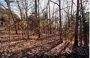 2nd image of Lake Haven Ln