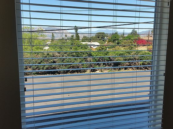 View from the Living Room