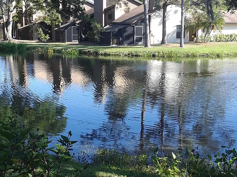 Pond