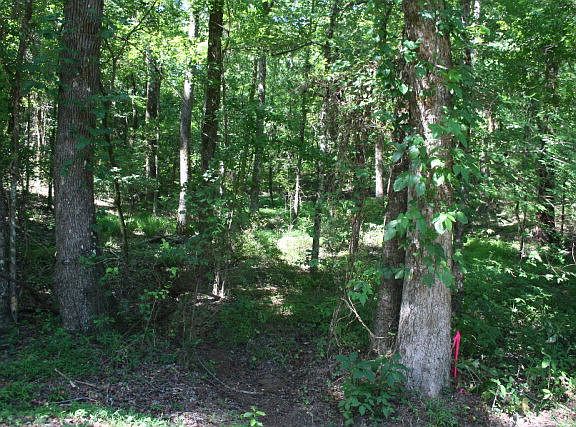 3rd image of Lot B-6 Elijah Clark Drive