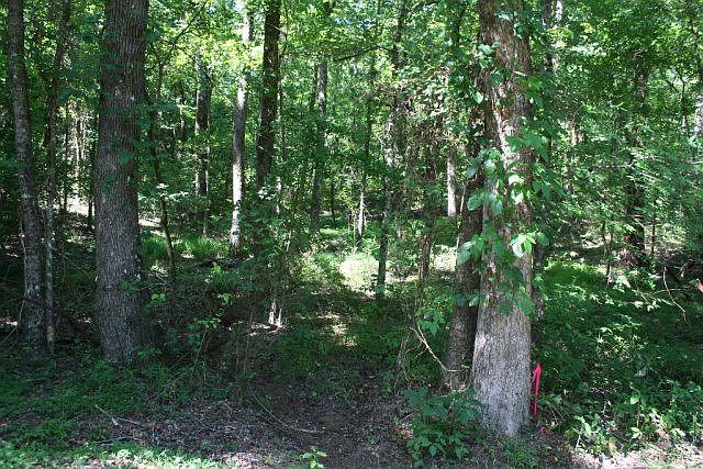 2nd image of Lot B-2 Elijah Clark Drive