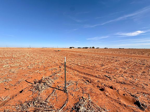 5th image of 4404 Hawk Rd