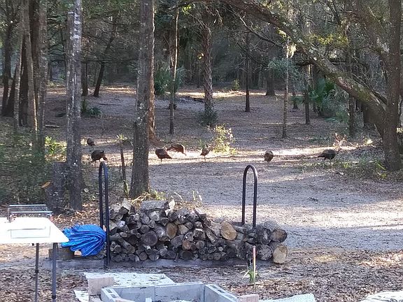 We Love Our Neighbors w/Riparian Rights