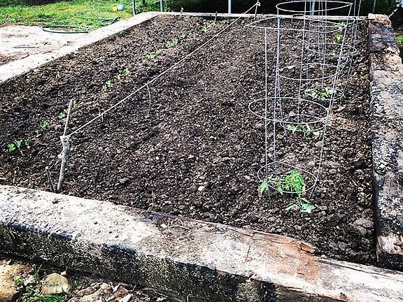 small raised bed garden