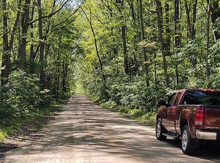 Stronach Dam Rd, Wellston, MI 49689