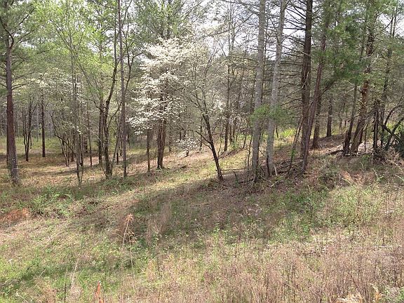 2nd image of The Hills Ln