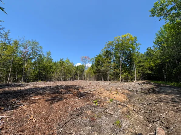Lot 9A Maple Ridge Road, Harrison, ME 04040