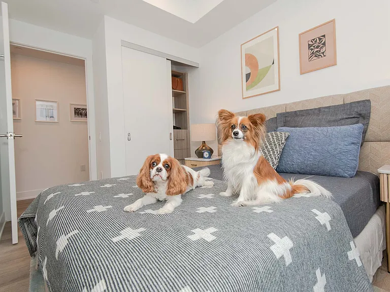 484 Spadina Ave — Photo 53