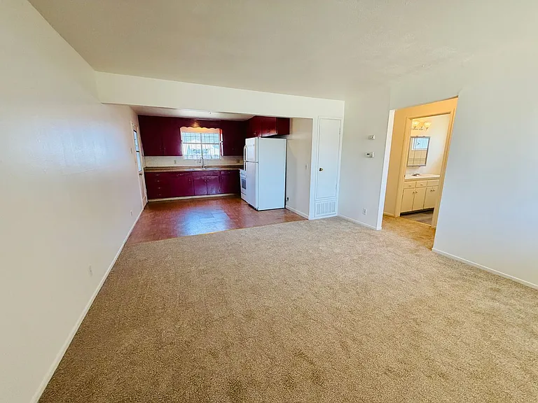 203 W Benjamin Holt Dr — Photo 4