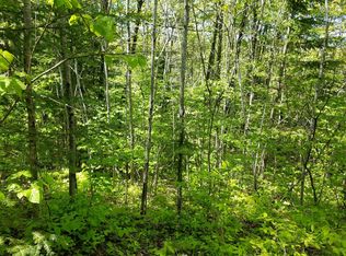 Tbd South Geneva Rd, Bessemer, MI 49911