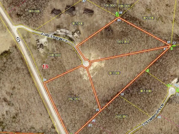 161 Forestview Court, Cape Fair, MO 65624