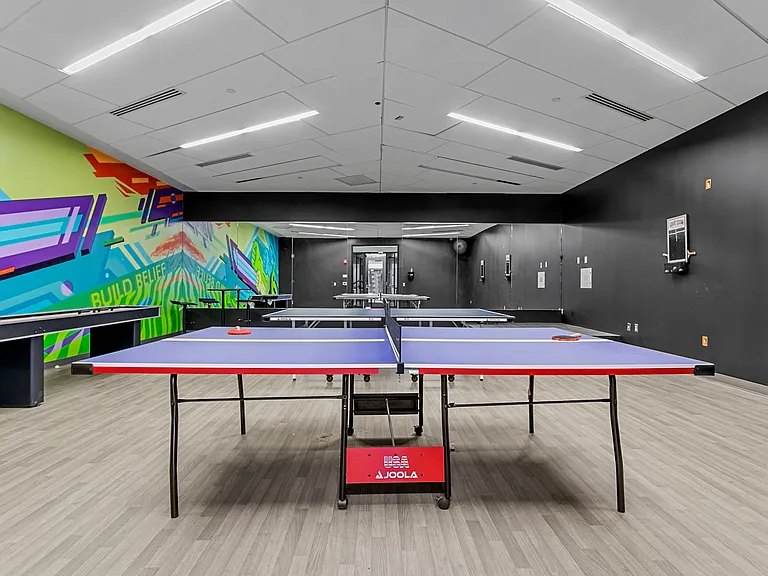 Ping Pong Room