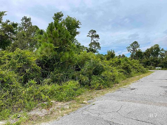 4th image of 13500 Perdido Key Dr