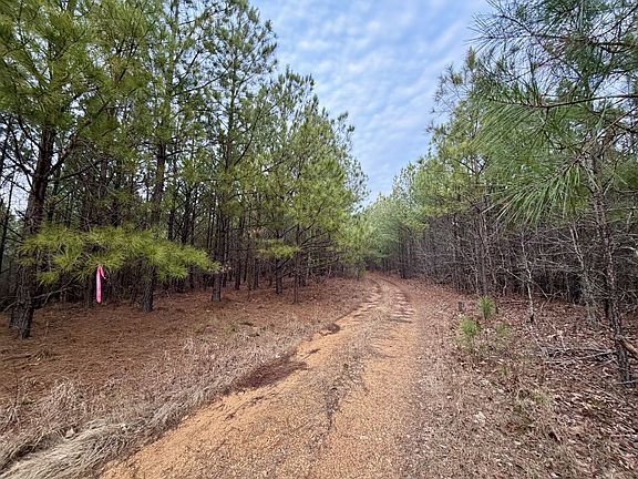 41st image of 1 Roan Creek Rd