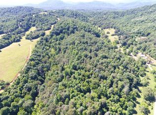 133 Harrison Creek Rd, Amherst, VA 24521