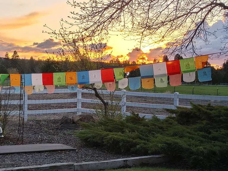 Summer time yoga deck ...