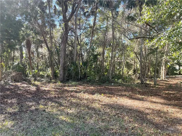 11850 W Fisherman Ln, Homosassa, FL 34448