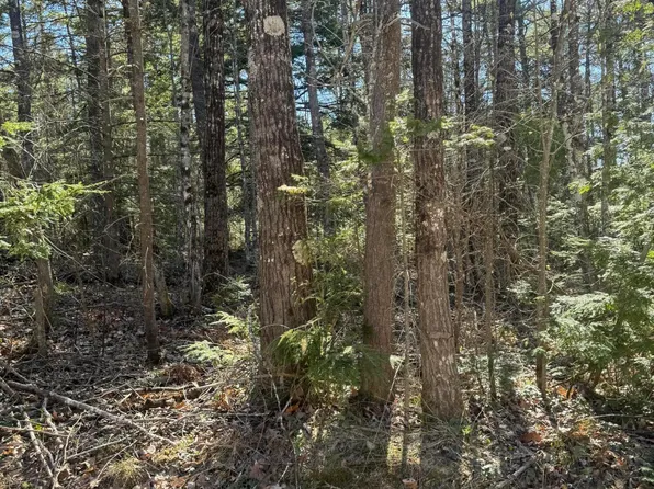 Lot# 31-H Old Waterford Road, Lovell, ME 04051