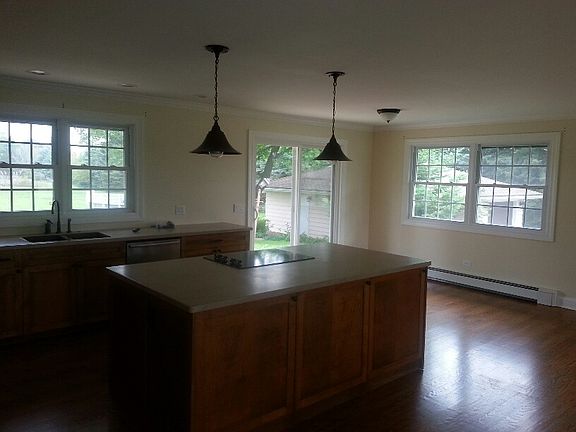 Kitchen and Island (hardwood floor)