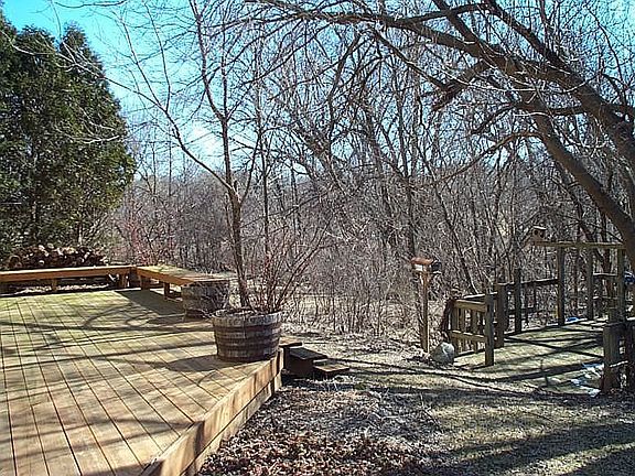 Back yard